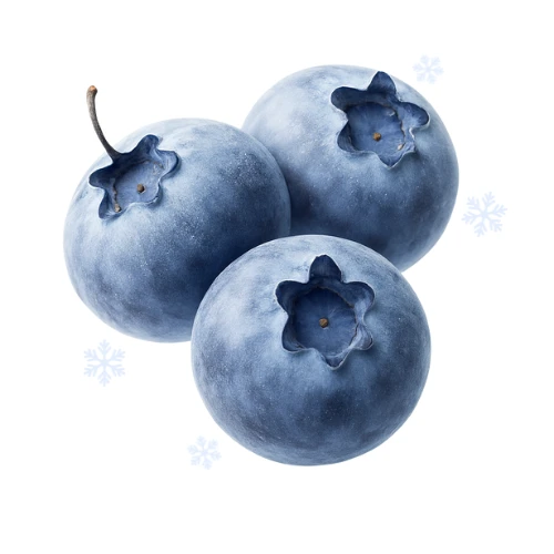 Representación tridimensional de unos arándanos congelados con unos copos de nieve y fondo gelido