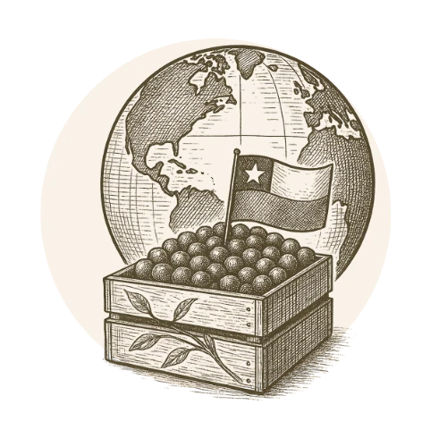 Caja de arándanos azules con una bandera de chile en la parte trasera