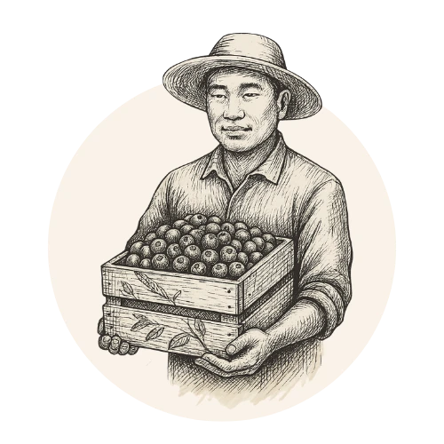 Caricatura de un productor de arándanos de agrícola quiñahue