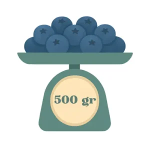 500 gr de Arándanos Frescos